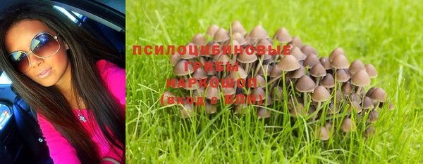 PSILOCYBIN Алексеевка