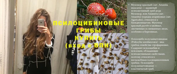 таблы Алзамай