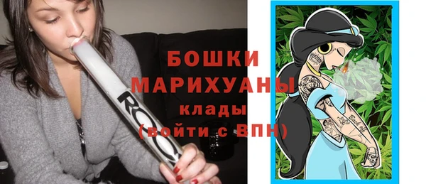 PSILOCYBIN Алексеевка