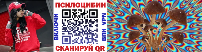 Галлюциногенные грибы Cubensis Слюдянка